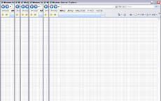 iebasesize3